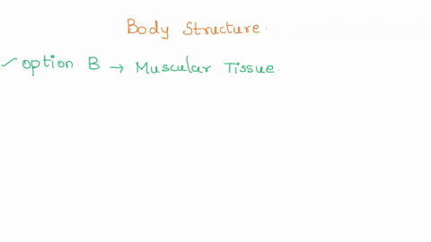 which-of-the-following-tissues-helps-in-the-movement-of-body-structure-connective-tissue-muscular-tissue-epithelial-tissue-nervous-tissue-24154