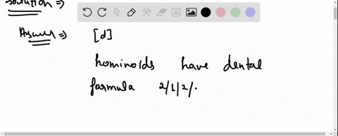 which-trait-differentiates-hominoids-from-other-primates-group-of-answer-choices-a-hominoids-have-bilophodont-molars-b-hominoids-do-not-have-tails-c-hominoids-have-long-legs-compared-to-the-99252