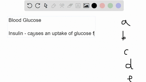 the-hormone-is-produced-by-the-levels-ainsulin-pancreas-bglucagon-pituitary-glucagon-pancreas-glucagon-hypothalamus-insulin-hypothalamus-and-its-release-causes-a-decrease-in-blood-glucose-16448
