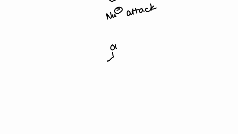 3-in-the-box-below-each-reaction-state-what-kind-of-mechanism-is-taking-place-for-each-of-the-following-reactions-proton-transfer-loss-of-a-leaving-group-or-nucleophilic-attack-stackrelominusominus