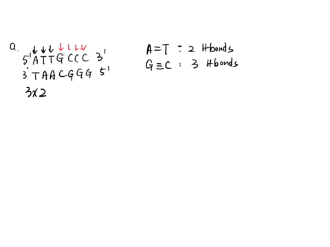 a-how-many-hydrogen-bonds-are-present-in-the-following-dsdna-only-one-strand-shown-for-simplicity-5-attgccc-3-bhow-many-phosphodiester-bonds-are-present-in-the-following-dsdna-only-one-stran-83336