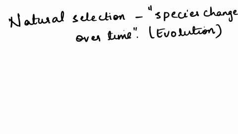 replace-the-underlined-portions-of-the-sentences-below-with-words-from-the-study-guide-to-make-eac-3-80452