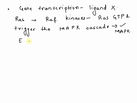what-will-happen-to-gene-transcription-if-the-signaling-molecule-ligand-is-absent-but-the-ras-protein-is-always-bound-to-gtp-and-why-a-gene-transcription-would-decrease-because-ras-gtp-is-th-81994