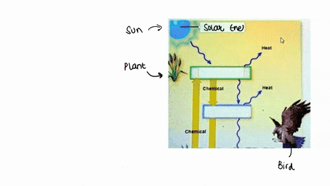 label-the-image-below-to-revlew-the-ilow-0l-energy-and-the-cycling-chericals-in-terrestrial-ecosystem-place-your-cuisot-boxes-lor-hints-the-decomposets-produceis-hejl-solat-energy-concumc-ch-44814