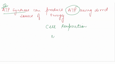 question-15-1-point-atp-synthase-can-produce-atp-using-as-a-direct-energy-source-energy-from-the-conversion-of-glucose-to-pyruvate-energy-from-the-oxidation-of-pyruvate-producing-co2-and-h2o-09892