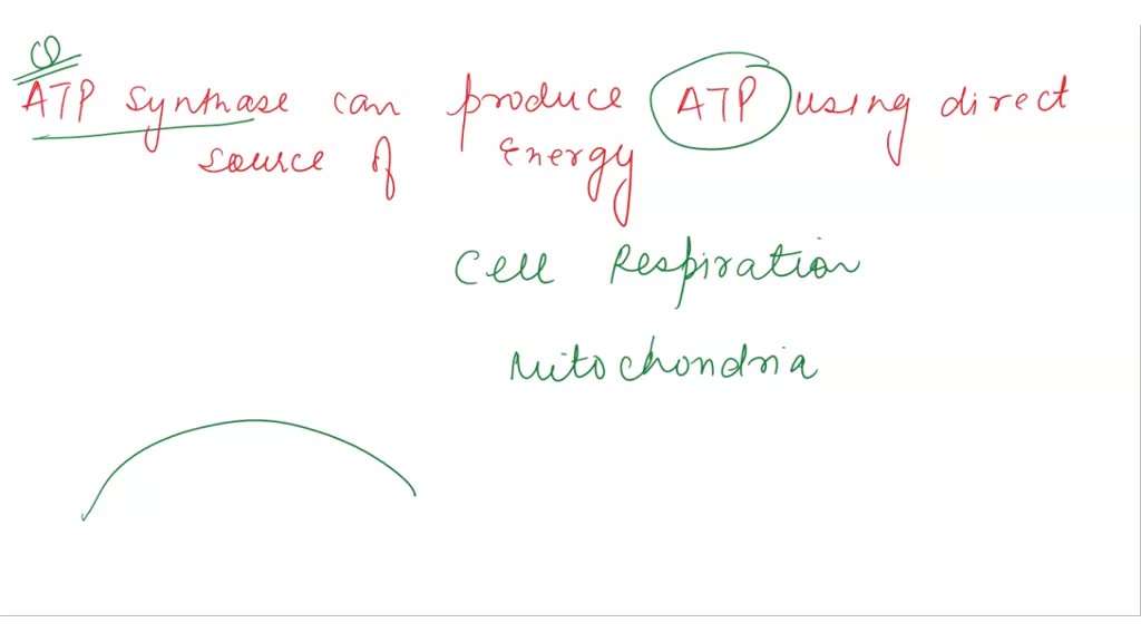 SOLVED QUESTION 45 During the electron transport pathway, ATP Is