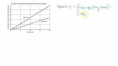 question-1-4-pts-transpiration-is-an-important-mechanism-in-plants-for-maintaining-water-balance-a-transpiration-experiment-was-conducted-using-two-plant-species-and-collected-data-is-shown-27208