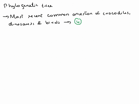 consider-the-phylogenetic-tree-below-to-answer-the-following-questions-lizards-and-snakes-crocodilians-pterosaurs-ornithischian-dinosaurs-saurischian-dinosaurs-birds-1which-number-point-on-t-18303