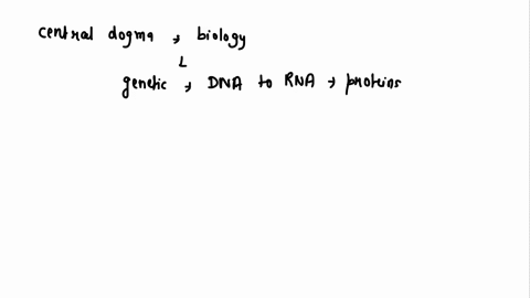 describe-the-central-dogma-of-molecular-biology-briefly-describe-the-processes-of-transcription-and-translation-88995