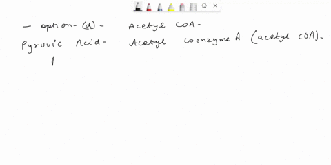 which-of-the-following-must-pyruvic-acid-be-converted-into-before-the-krebs-cycle-can-proceed-a-glucose-b-nadh-c-citric-acid-d-acetyl-coa-12259