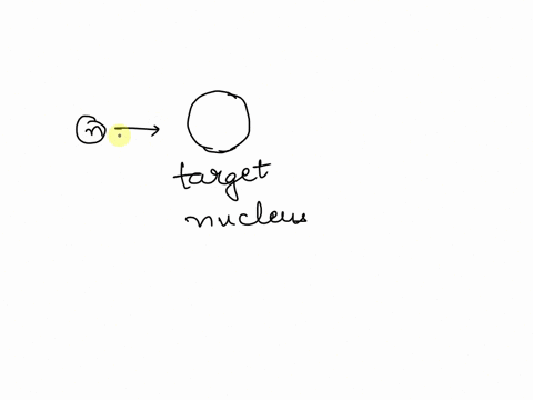 in-nuclear-fission-two-heavy-nuclei-are-induced-to-decay-simultaneously-a-nucleus-is-split-into-two-less-massive-nuclei-a-nucleus-is-bombarded-with-another-nucleus-in-order-to-induce-an-alph-11783