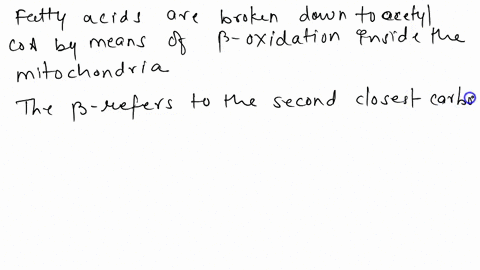 how-are-fatty-acids-broken-down-85084