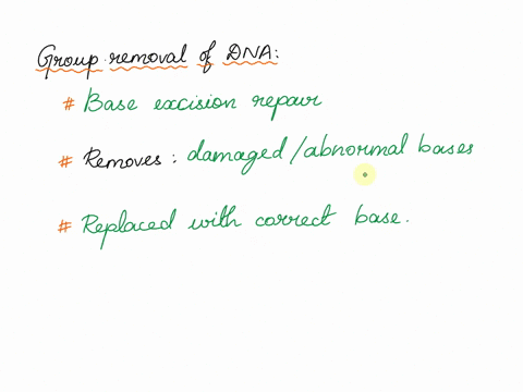 in-regard-to-dna-repair-define-group-removal-and-give-an-example-07702