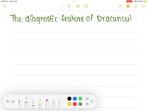 diagnostic-feature-of-dracunculus-medinensis