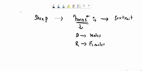 in-sheep-the-formation-of-horns-is-a-sex-influenced-trait-the-allelethat-results-in-horns-is-dominant-in-males-and-recessive-in-femalesfemales-must-be-homozygous-for-the-horned-allele-to-hav-89515