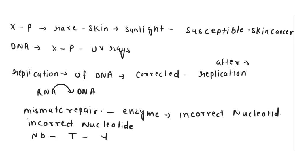 SOLVED Explain why patients with Xeroderma Pigmentosa are more prone