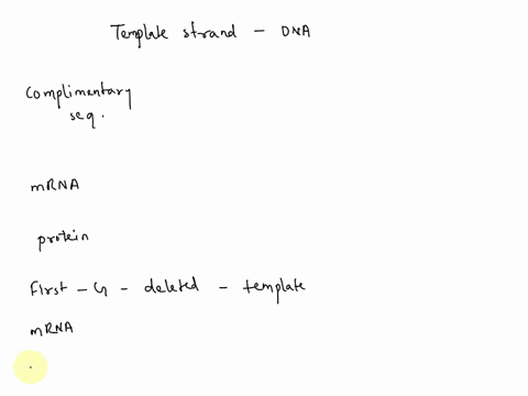 the-order-of-bases-on-the-template-strand-of-dna-is-3-cctacggacga-5-this-segment-of-dna-is-from-the-beginning-of-a-gene-5-pts-a-what-is-the-sequence-of-nucleotides-in-the-other-complimentary-24628