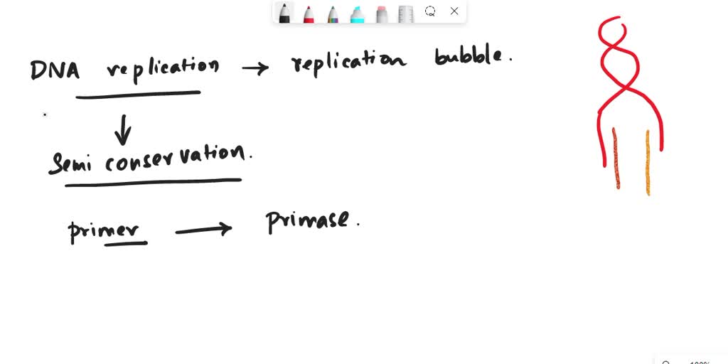 SOLVED During DNA Replication Adds An RNA Primer To Naked Template Strands Of DNA Why Is This