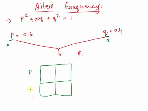 a-population-with-allele-frequencies-p06-and-q04-is-subjected-to-selection-against-the-dominant-allele-if-selection-is-completely-effective-w110w120w221-what-will-be-the-frequency-of-dominan-39647
