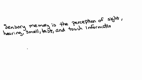 the-sensory-memory