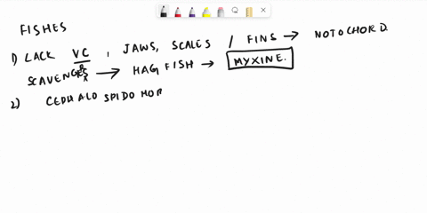 match-the-following-fish-or-fish-like-vertebrate-classes-to-their-descriptions-below-thas-fah-3ckaws-choose-osified-bones-salesand-paed-choose-class-myxini-class-chondrichthyes-superclass-os-75612