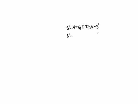 question-12-of-24-what-is-the-complementary-strand-sequence-of-dna-if-the-other-strand-has-the-sequence-5-atgctga-3-a-5-tacgact-3-b-3-uacgacu-5-c-5-augcuga-3-d-5-uacgacu-3-e-3-tacgact-5-00112