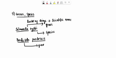 write-what-is-the-genus-and-the-species-for-the-following-organisms-salmonella-typhi-bordetella-pertussis-bacillus-anthracis-giardia-lamblia-aspergillus-fumigatus-write-the-morphology-of-the-01152