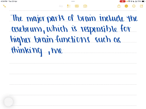 d-major-parts-of-brain-i-cerebrum-1-organization-of-tissue-cortex-white-matter-nuclei-2-gross-structure-a-2-hemispheres-b-5-lobes-per-hemisphere-a-functional-areas-b-multimodal-association-areas-c-fib