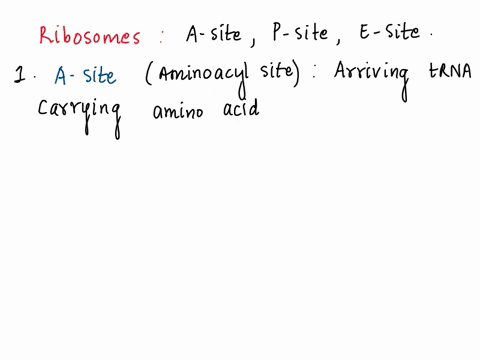 during-the-elongation-phase-of-translation-which-site-in-the-ribosome-represents-the-location-where-codon-is-being-rcad-0-eslte-the-barge-ribosomal-subunlt-asite-0-psite-09246
