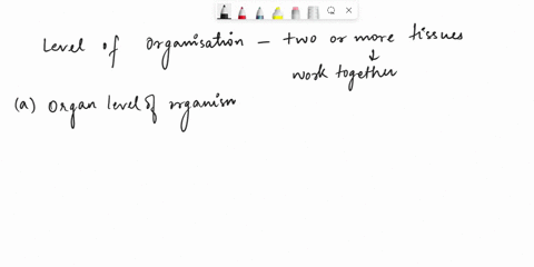 the-level-of-organization-that-includes-two-or-more-tissues-that-work-together-is-an-a-organ-b-tissu-18023