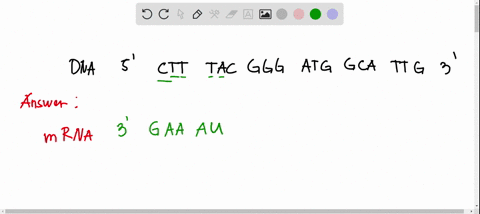 below-is-a-template-strand-of-dna-that-contains-a-translation-start-codon-5-ctttacgggatggcattg-3-a-assuming-this-entire-sequence-is-transcribed-write-the-sequence-of-the-resulting-mrna-trans-26031