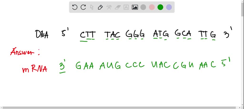 SOLVED: Given the following DNA non-template sequence, determine the ...