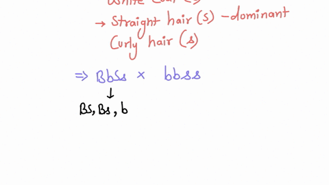 in-guinea-pigs-a-black-coat-b-is-dominant-over-a-white-coat-b-and-straight-hair-s-is-dominant-over-curly-hair-s-a-heterozygous-black-and-straight-hair-guinea-pig-bbss-was-test-crossedwhat-is-56004