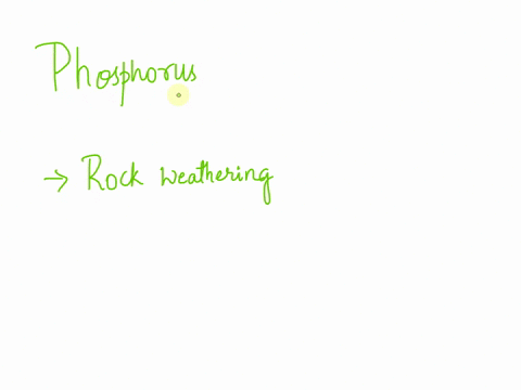 how-does-phosphorus-normally-enter-ecosystems-select-one-a-photosynthesis-b-volcanic-eruptions-c-atmospheric-phosphorous-gas-d-rock-weathering-e-cellular-respiration-13482