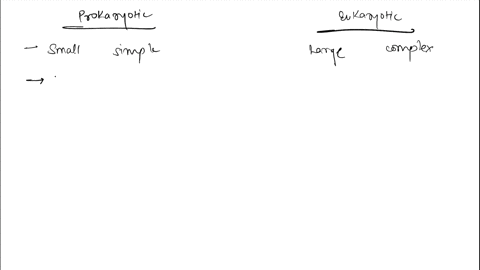 describe-the-structure-and-functions-of-the-male-reproductive-system-00881