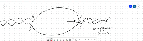 question-45-what-are-the-short-dna-sequences-synthesized-discontinuously-and-later-linked-what-kind-of-replication-do-they-partake-in-dna-prgase-rna-prmer-dna-ligase-dna-polymerase-pola-lepi-87543