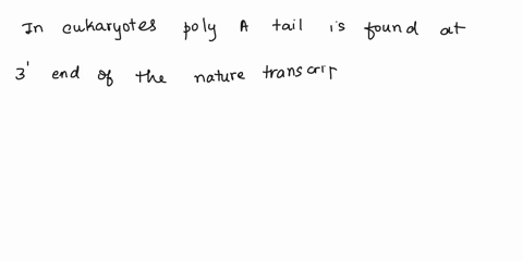 question-26-1-point-in-eukaryotes-polya-tail-is-found-at-the-5-end-of-messages-true-21868