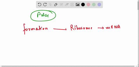 each-mrna-molecule-is-used-to-produce-one-copy-of-a-polypeptide-molecule-true-or-false-00937