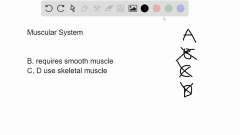 2-which-of-these-activities-is-not-related-to-the-muscular-system-a-the-secretion-of-hormones-from-glands-b-the-mechanical-grinding-of-the-stomach-as-it-digests-food-c-running-up-a-hill-d-li-56152