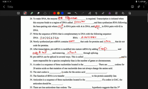 26-to-make-rna-the-enzyme-required-transcription-is-initiated-when-this-enzyme-binds-to-a-region-of-dna-called-and-then-synthesizes-rna-following-the-base-pairing-rule-where-in-rna-pairs-wit-76542