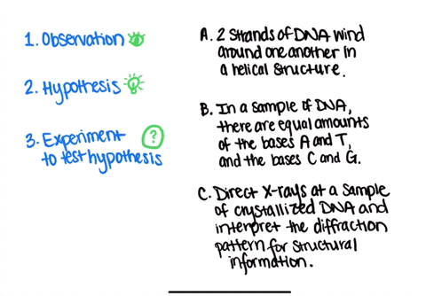 the-following-statements-pertain-to-the-development-of-the-theory-of-the-structure-of-dna-match-the-26476