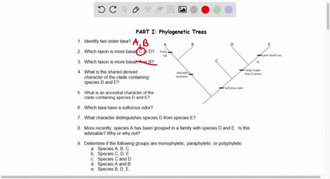 part-i-phylogenetic-trees-identify-two-sister-taxa-which-taxon-is-more-basal-c-or-d-fluffy-lasef-death-tav-which-taxon-is-more-basal-a-or-b-fones-ioneet-than-inches-what-is-the-shared-derive-25354