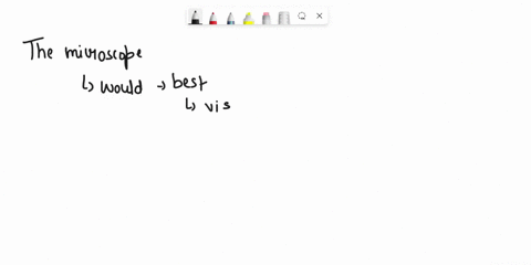 considanng-ino-capaoditos-and-ianits-dieten-hypes-m-crotconor-woll-1-tha-stzo-baclecnl-cels-ghch-nacroscone-would-be-besttor-soeniisi-uie-d-sne-wanled-deany-wsvalze-o-exler4l-stucturts-bacta-16245