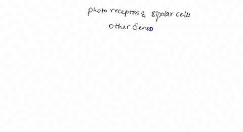 how-is-the-relationship-between-photoreceptors-and-bipolar-cells-different-from-other-sensory-recept-09272