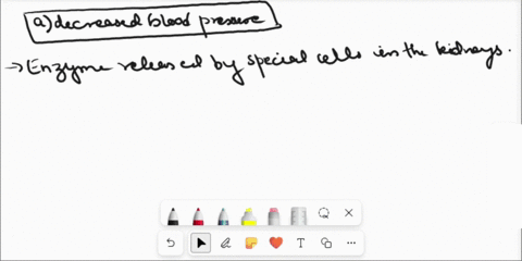 renin-is-released-in-response-to-________a-increased-blood-pressureb-decreased-blood-pressurec-aced-diuretics-29366
