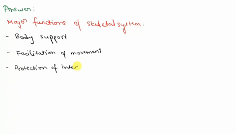 which-is-a-function-of-the-skeletal-system-a-support-b-blood-cell-formation-c-mineral-storage-d-providing-levers-for-muscle-activity-e-all-of-these-35356