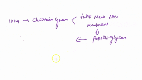 pre-lab-questions-what-determines-if-a-bacterial-cell-is-gram-positive-or-gram-negative-in-this-lab-both-viruses-and-prions-were-introduced-as-acellular-organisms-do-some-research-and-descri-94188