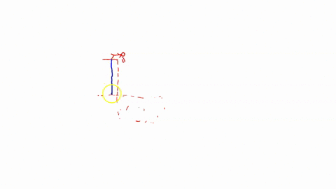 an-80-kg-diver-jumps-from-a-10-m-high-platform-what-is-the-gravitational-potential-energy-of-the-diver-right-before-they-jump-top-of-platform-34871