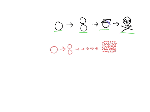 cancer-cells-undergo-rapid-cell-division-and-do-not-complete-their-regular-cell-functions-relative-to-a-normal-cell-cycle-cancer-cells-spend