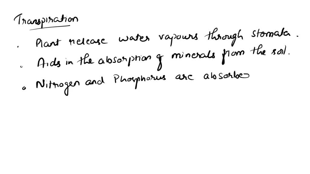 SOLVED Explain the relationship between transpiration and how plants obtain nitrogen and